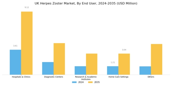 UK Herpes Zoster Market Segment Image 3