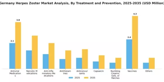 Germany Herpes Zoster Market Segment Image 3