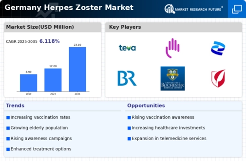 Germany Herpes Zoster Market Infographic