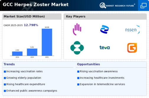 GCC Herpes Zoster Market Infographic