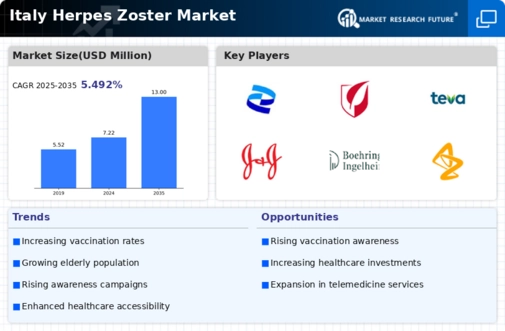 Italy Herpes Zoster Market Infographic