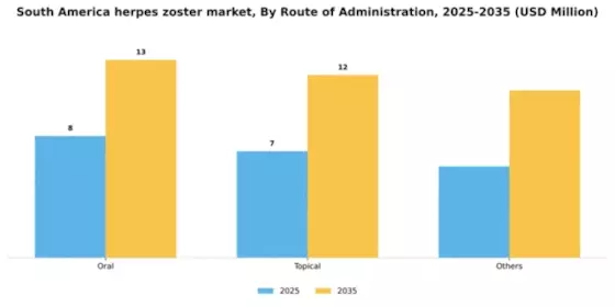 South America Herpes Zoster Market Segment Image 2