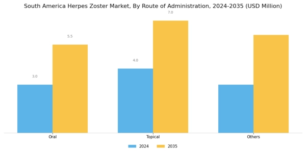 South America Herpes Zoster Market Segment Image 2