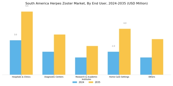 South America Herpes Zoster Market Segment Image 3