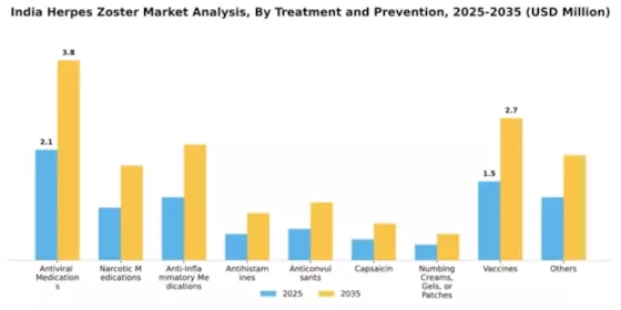India Herpes Zoster Market Segment Image 3