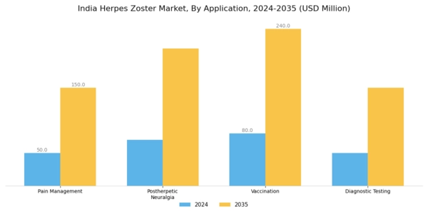 India Herpes Zoster Market Segment Image 0