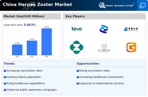China Herpes Zoster Market Infographic