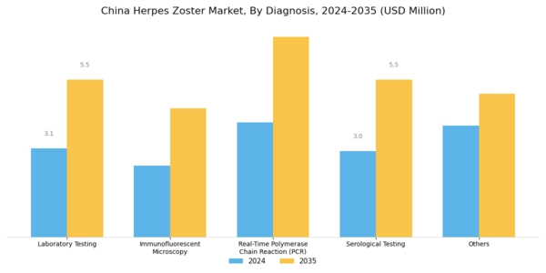 China Herpes Zoster Market Segment Image 0