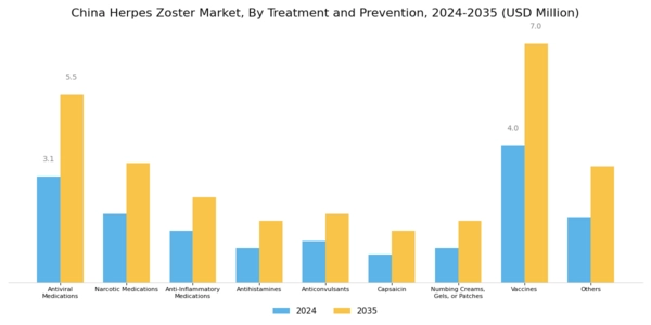 China Herpes Zoster Market Segment Image 1