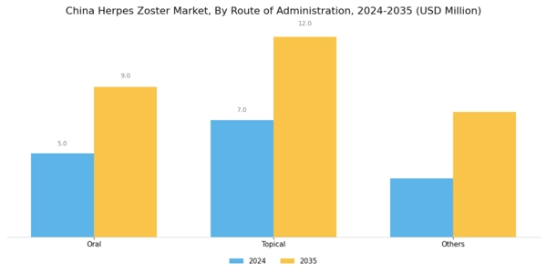China Herpes Zoster Market Segment Image 2
