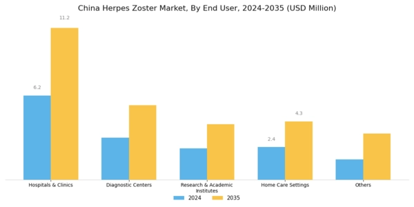 China Herpes Zoster Market Segment Image 3