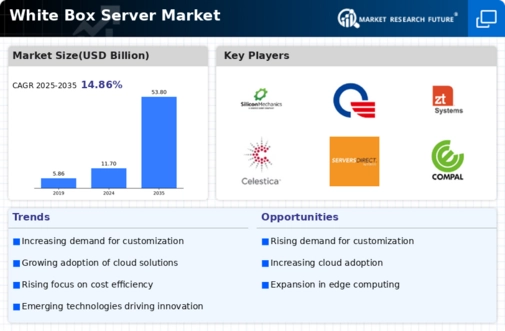 White Box Server Market Infographic