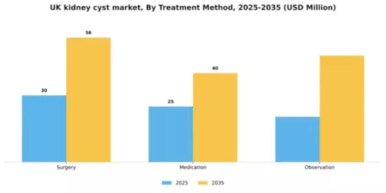 UK Kidney Cyst Market Segment Image 2