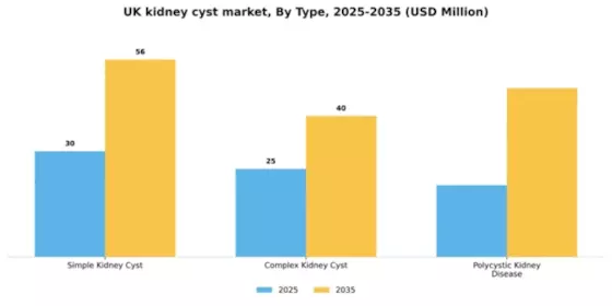 UK Kidney Cyst Market Segment Image 3