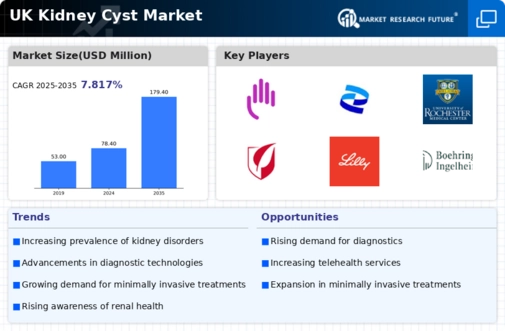 UK Kidney Cyst Market Infographic