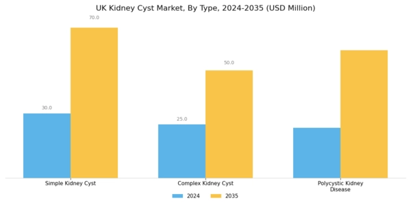 UK Kidney Cyst Market Segment Image 0