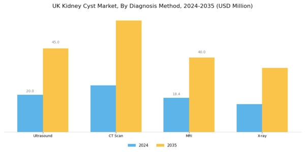 UK Kidney Cyst Market Segment Image 1