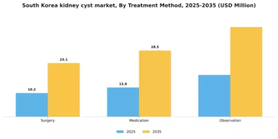 South Korea Kidney Cyst Market Segment Image 2