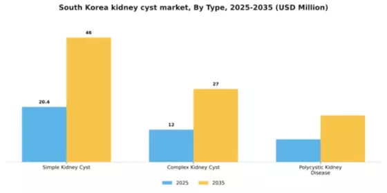South Korea Kidney Cyst Market Segment Image 3
