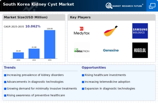 South Korea Kidney Cyst Market Infographic