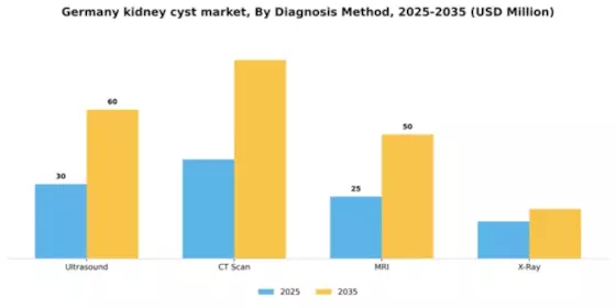 Germany Kidney Cyst Market Segment Image 0