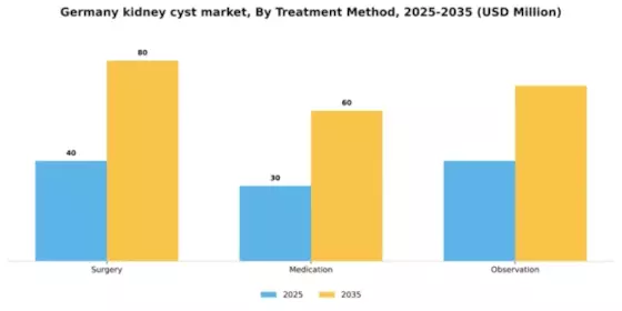 Germany Kidney Cyst Market Segment Image 2