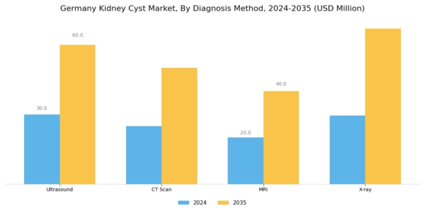 Germany Kidney Cyst Market Segment Image 1