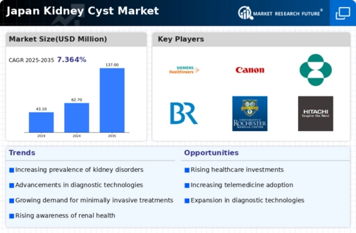 Japan Kidney Cyst Market Infographic