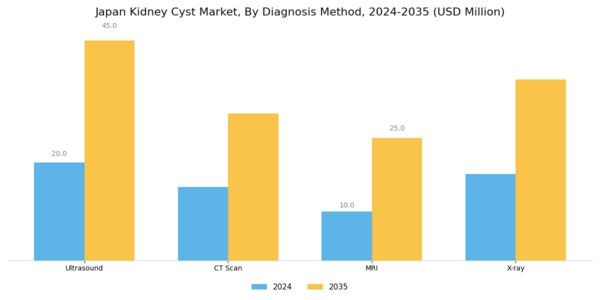 Japan Kidney Cyst Market Segment Image 1