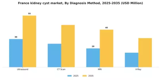France Kidney Cyst Market Segment Image 0