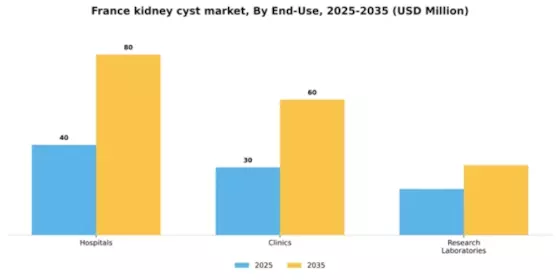 France Kidney Cyst Market Segment Image 1