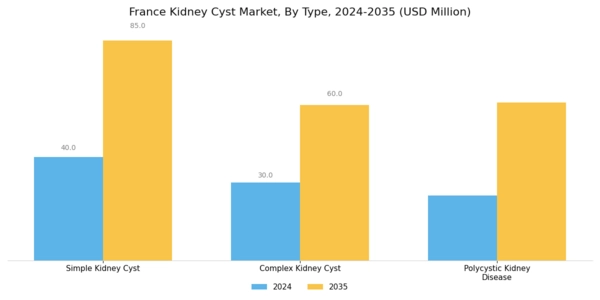 France Kidney Cyst Market Segment Image 0