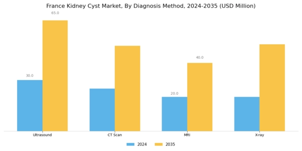 France Kidney Cyst Market Segment Image 1