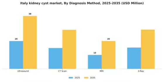 Italy Kidney Cyst Market Segment Image 0