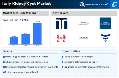 Italy Kidney Cyst Market Infographic