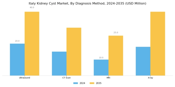Italy Kidney Cyst Market Segment Image 1