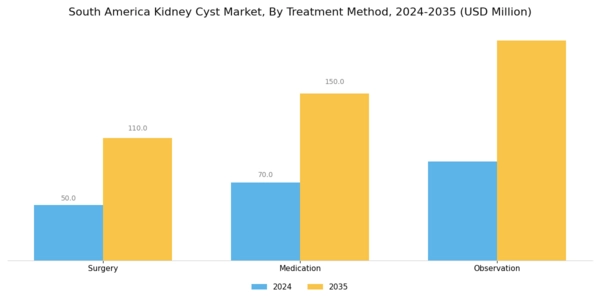 South America Kidney Cyst Market Segment Image 2