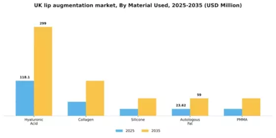 UK Lip Augmentation Market Segment Image 2