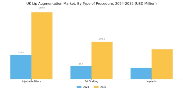 UK Lip Augmentation Market Segment Image 0