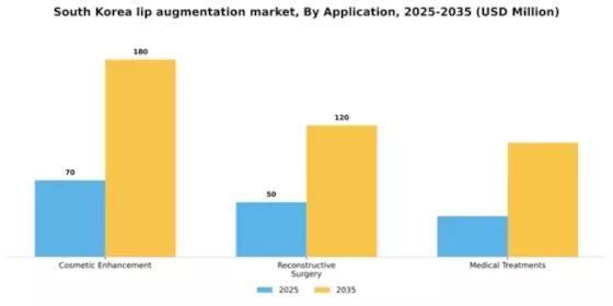 South Korea Lip Augmentation Market Segment Image 0