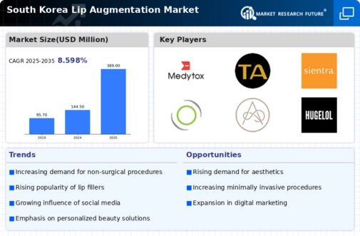South Korea Lip Augmentation Market Infographic