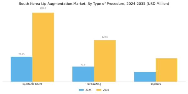 South Korea Lip Augmentation Market Segment Image 0
