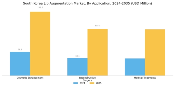 South Korea Lip Augmentation Market Segment Image 2