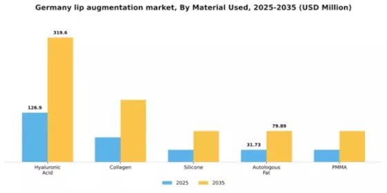 Germany Lip Augmentation Market Segment Image 2