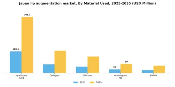 Japan Lip Augmentation Market Segment Image 2
