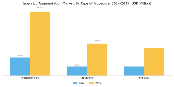 Japan Lip Augmentation Market Segment Image 0