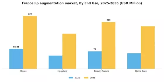France Lip Augmentation Market Segment Image 1