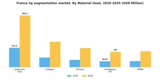 France Lip Augmentation Market Segment Image 2