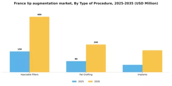 France Lip Augmentation Market Segment Image 3