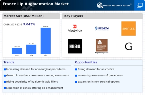 France Lip Augmentation Market Infographic